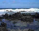 hawaiian tide pool
